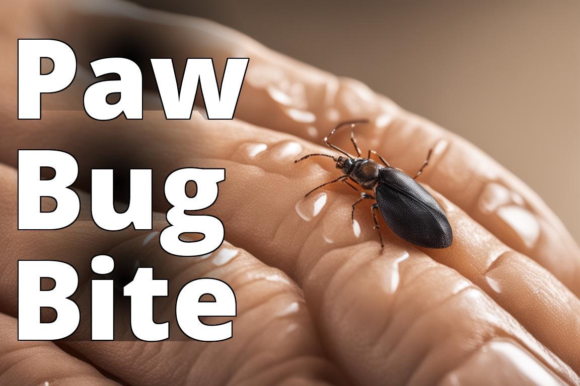 A close-up image of a dog's paw with visible insect bites or stings to highlight the topic of bug bi